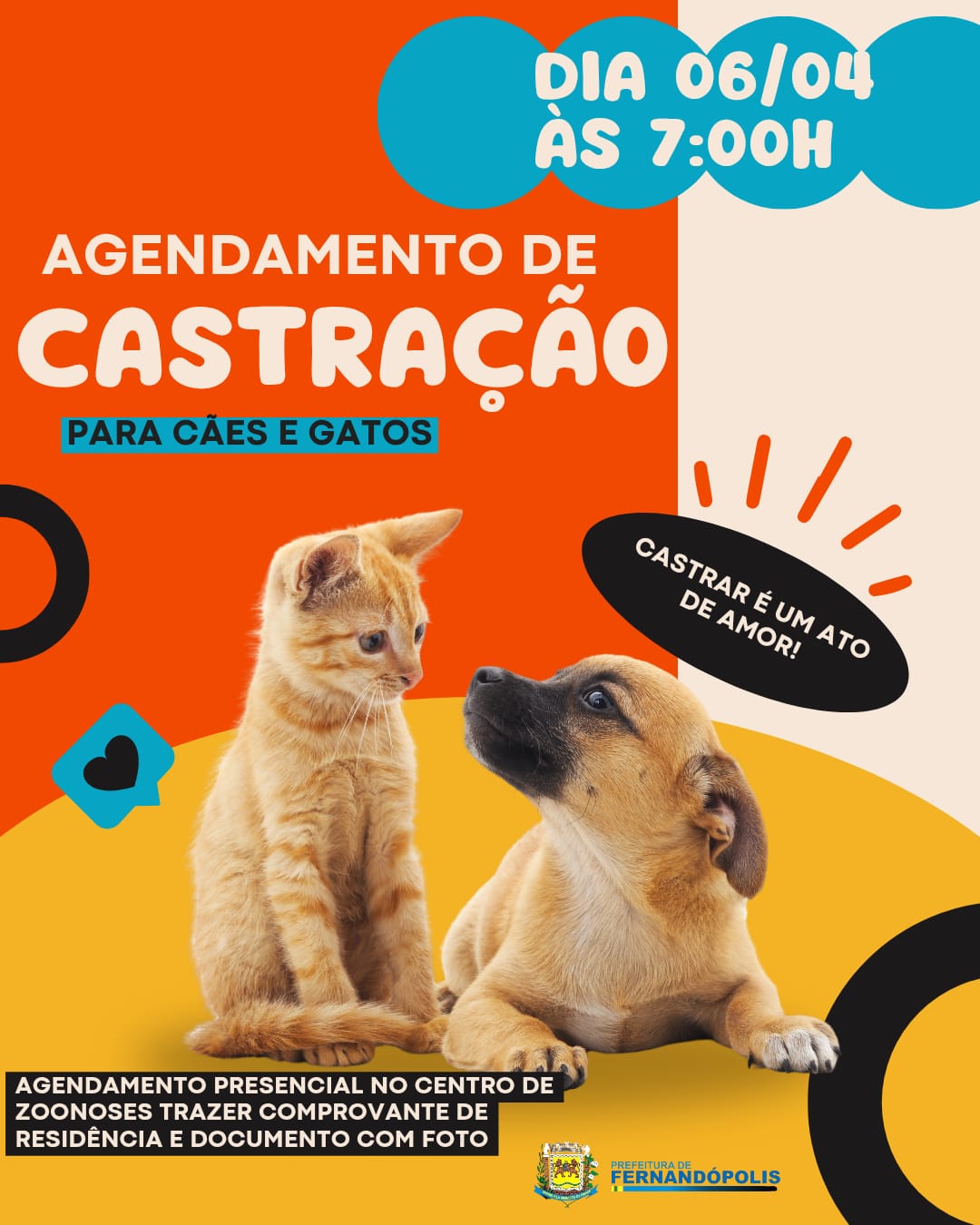 Centro de Zoonoses distribuirá senhas para castração de cães e gatos